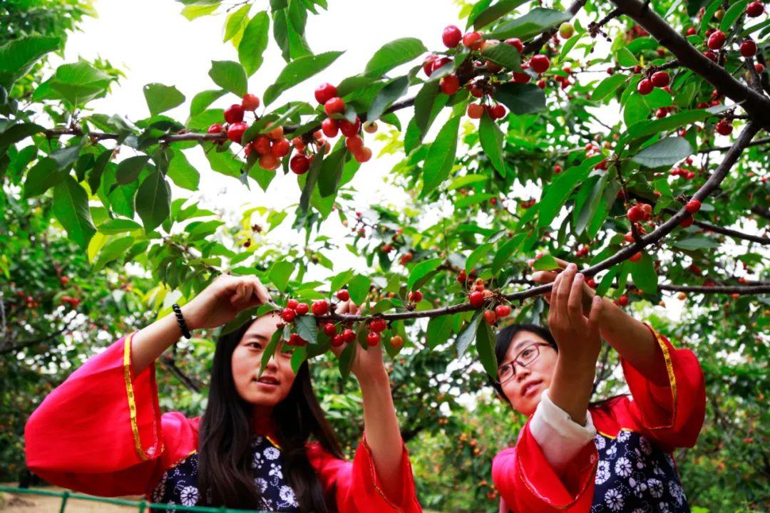 邹城就业盛宴：精彩职位等你来发现！