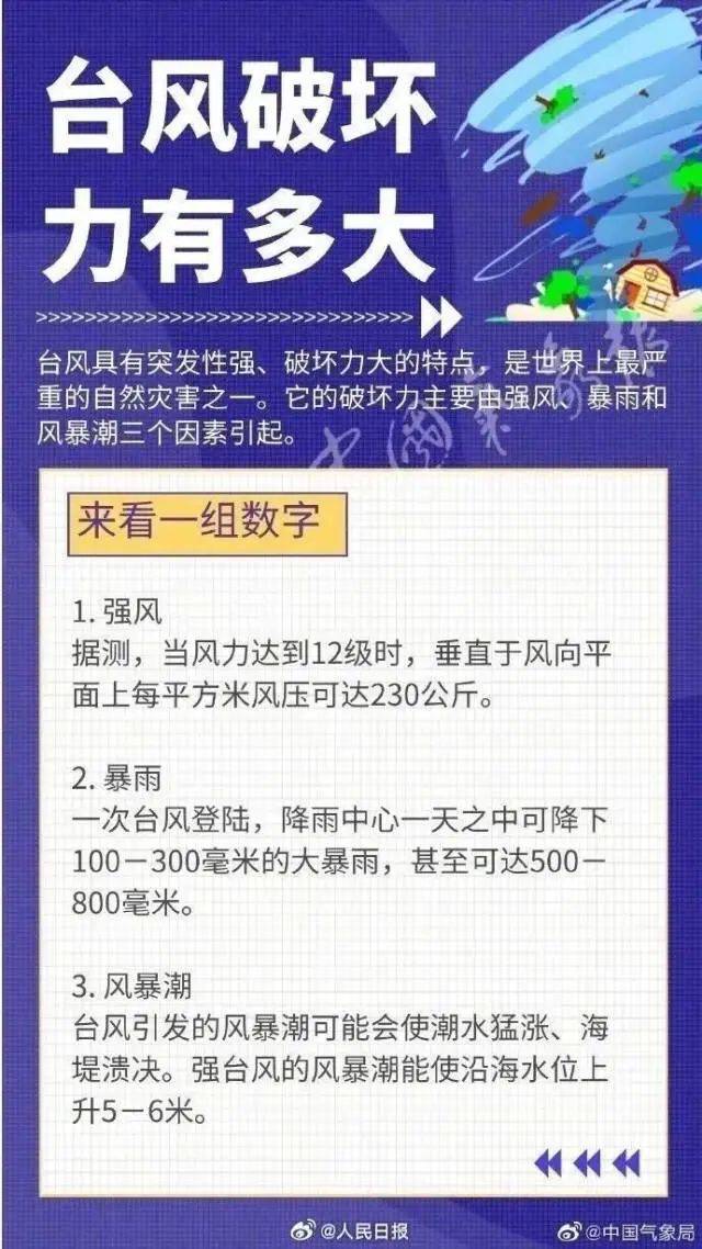 东莞台风预警：共筑安全防线，守护家园美好时光