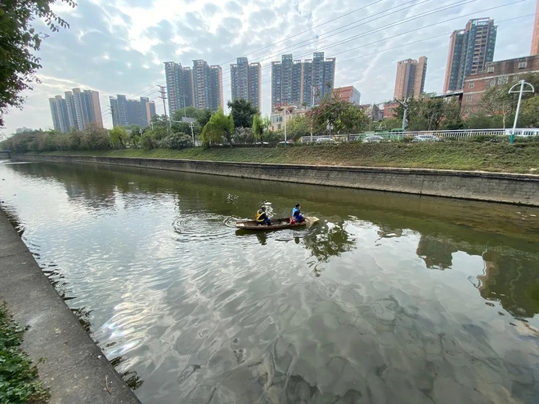 房产市场新风向：引领美好家园新篇章