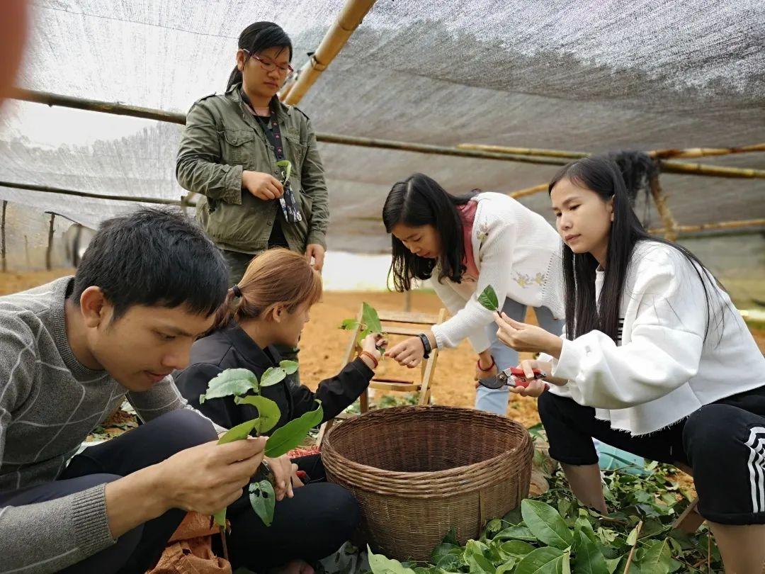 扶绥县就业新机遇，精彩职位邀您共赴前程