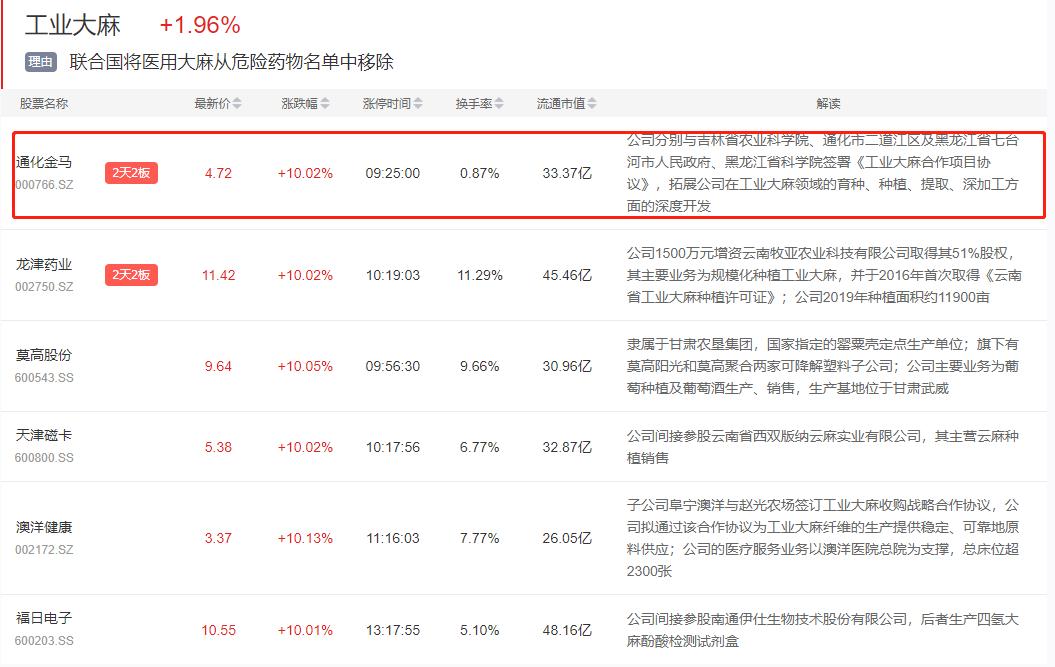 金马股票最新动态速递