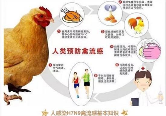 H7N9禽流感最新动态