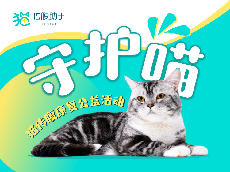 猫咪社区新版发布