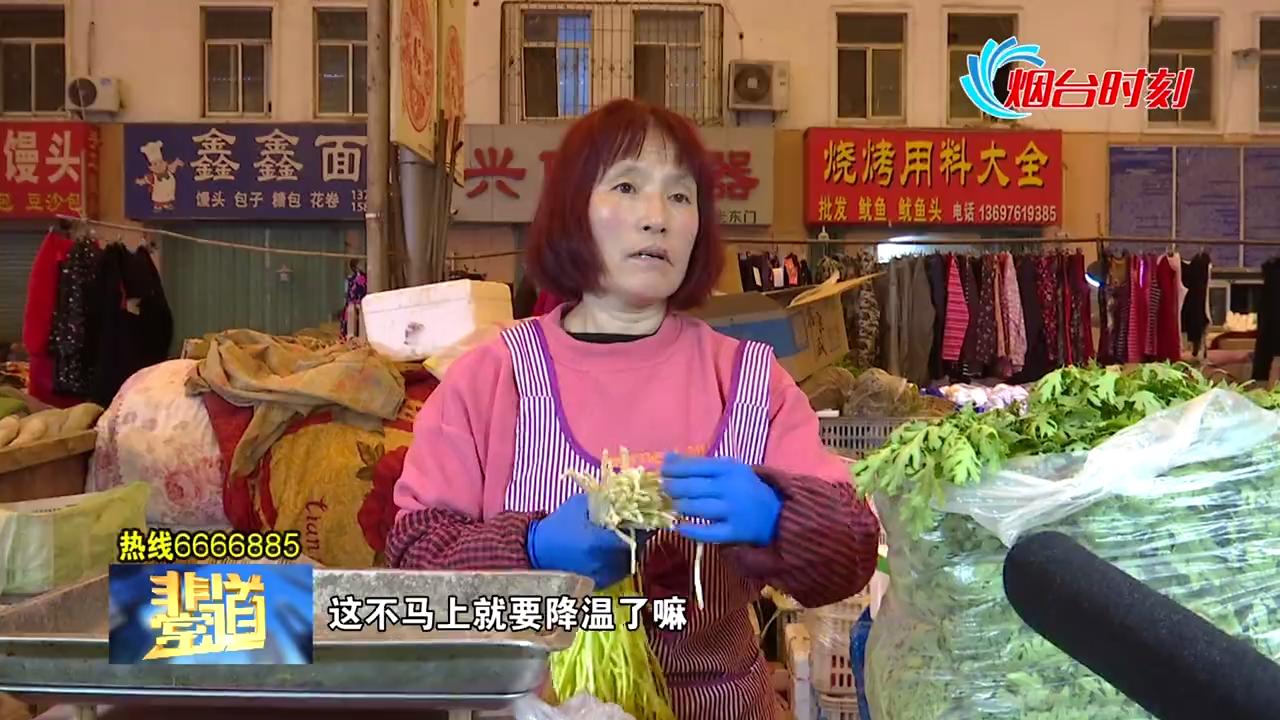 最新揭晓：海参市场行情价格大揭秘