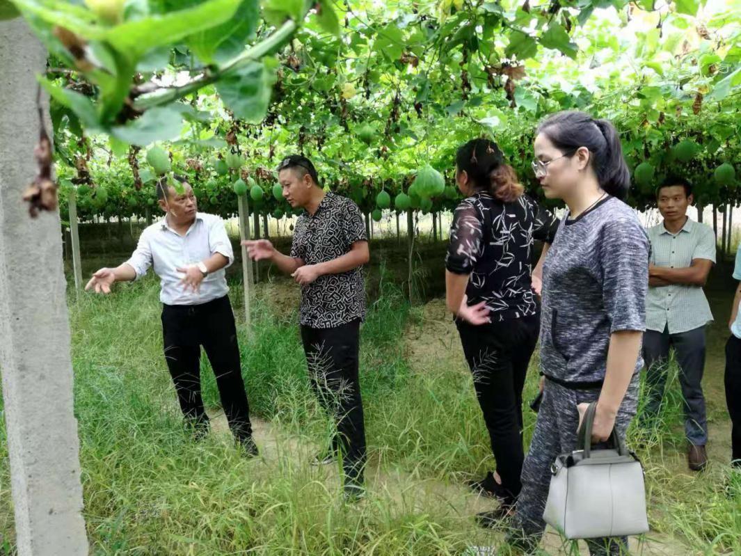 郑蒲港新区实时资讯速览：最新发展动态全解析