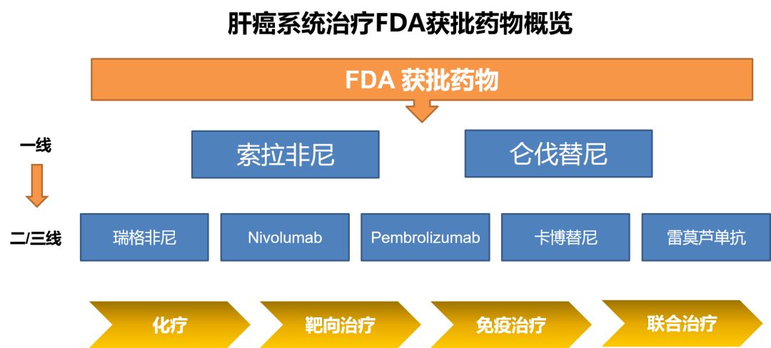 探索前沿：全新一代抗肝癌治疗药物大揭秘