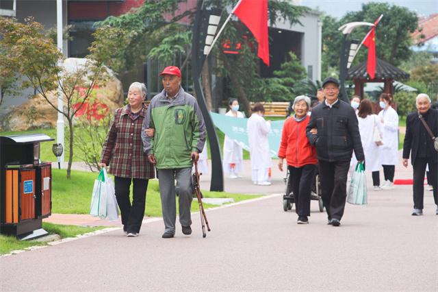 花落缤纷剧场：最新热门电视剧免费在线观赏