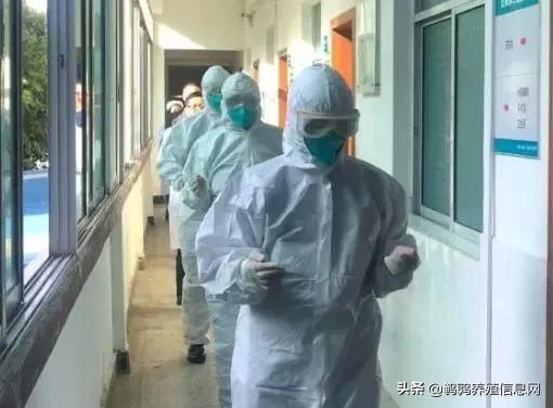 最新动态：H5N6禽流感疫情快报解析